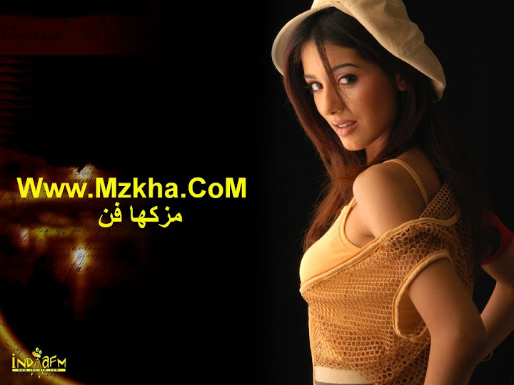 أمريتا 2011 الممثلة الهندية,صور ممثلات هنديات,فضائح الممثلات الهنديات اغراء مثيرة,صور مثيرة لأمريتا 2011,صور اغراء لأمريتا Amrita 2011,صور أمريتا سكس,صور أمريتا اغراء سكسي 2011,تحميل أمري